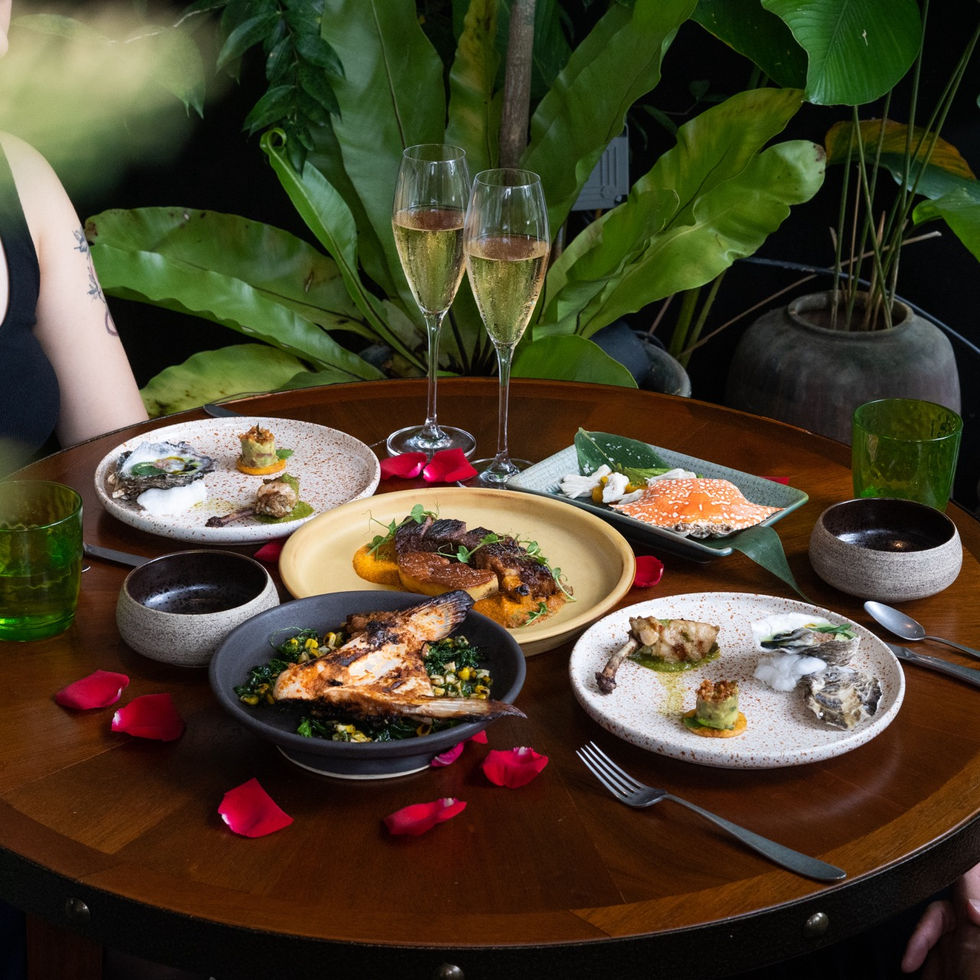 20240120-DSC08946 Large