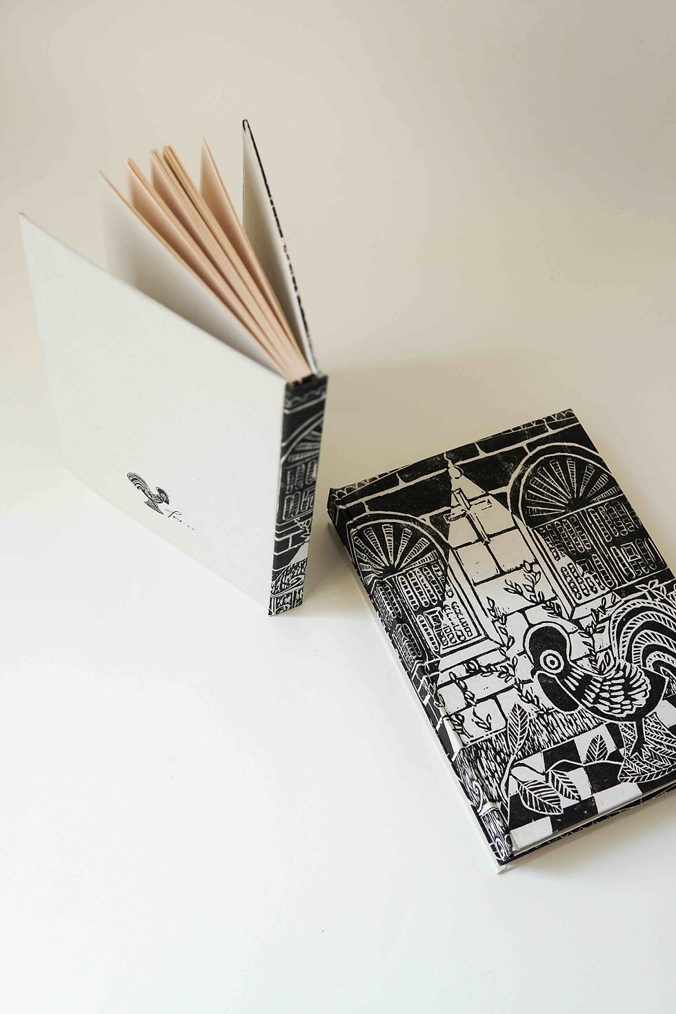 Thumbnail: 'A Goan Front Yard' | CASEBOUND Book - A5 | Black