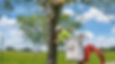 Tree Removal