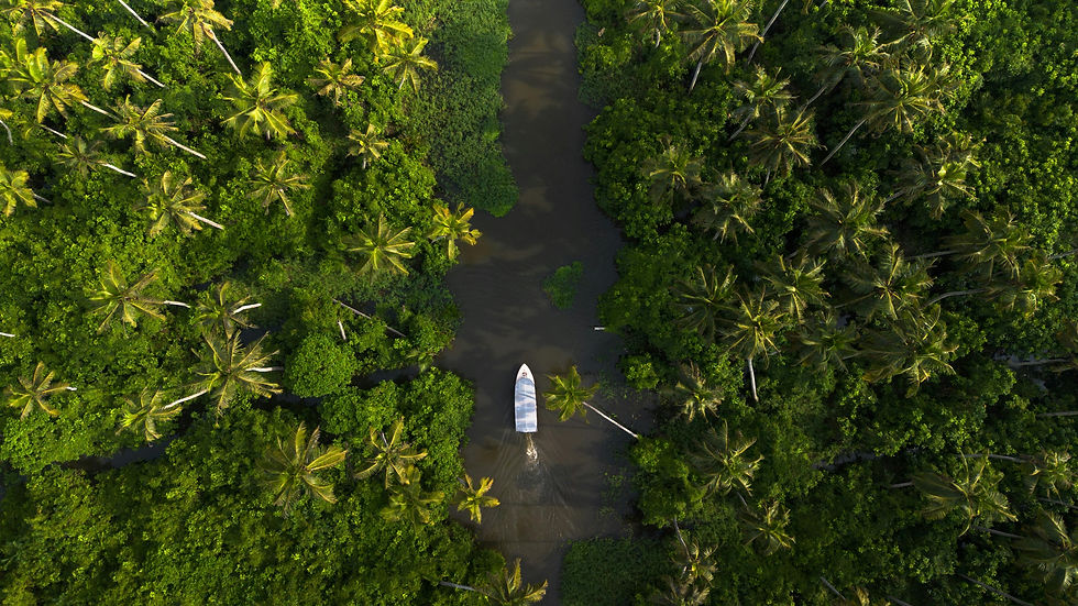Floating Luxury in the Backwaters of Alleppey