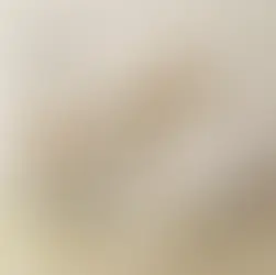 Bílá barva: Nadčasová klasika s neomezenými možnostmi