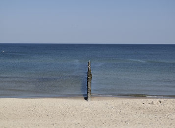 _DSC0547.JPG