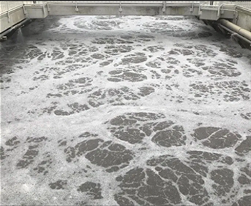 Screen Shot 2020-06-08 at 10.10.07 PM.pn