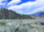 IMG_7220_edited_edited_edited.jpg