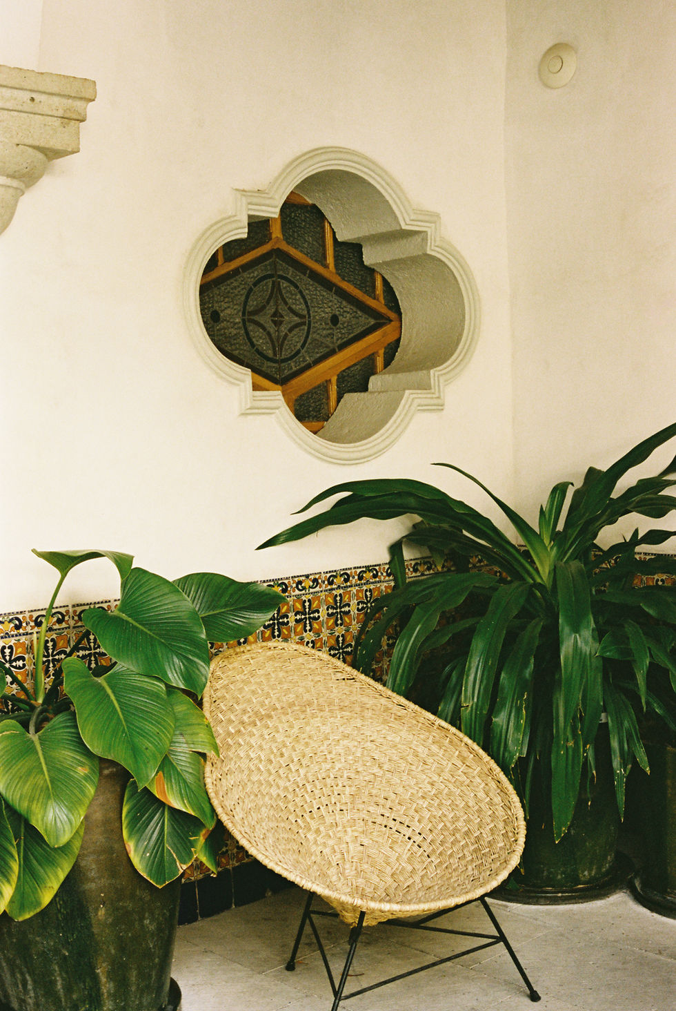 99911012-37913(e).jpg