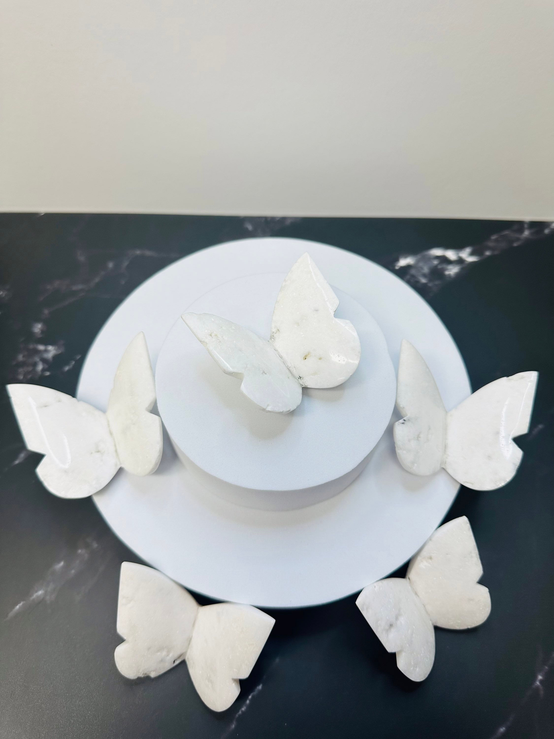 Snow Agate 3D Butterfly