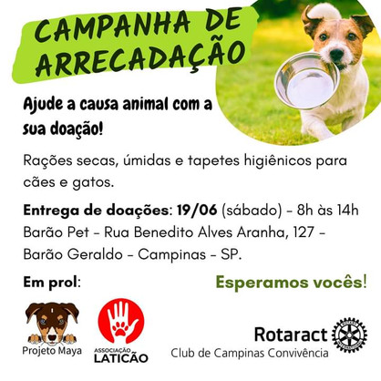 Rotaract Club de Campinas Convivência promove arrecadação e sessão de fotos em prol da causa animal