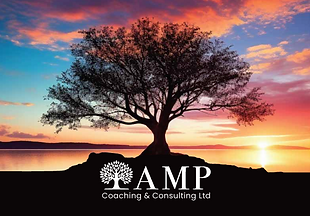 Tree Logo for AMP Coaching & consulting Ltd. Tree in the foreground is black with a colourful sky of blues, pink, gold purple sunset behind.