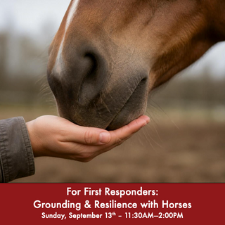 For First Responders: Grounding & Resilience with Horses