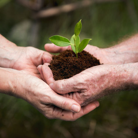 How Net Zero Promotes Sustainability