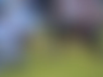 O Galo ganhou: Galo FA estreia com vitória na Liga BFA