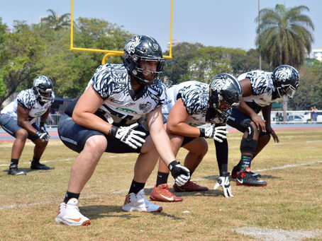 Brasil Bowl: Confira a trajetória do Galo Futebol Americano na Liga BFA