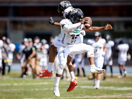 Domingo é dia de Galo FA
