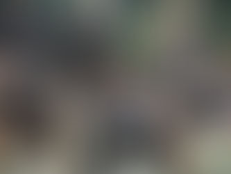 Embate inédito crava estreia do Galo FA na Liga BFA