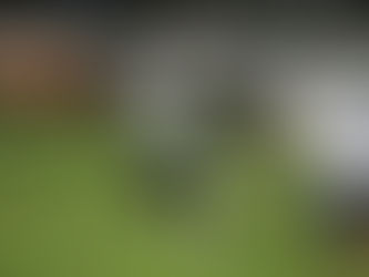 Agenda cheia: Galo FA joga dois clássicos neste fim de semana