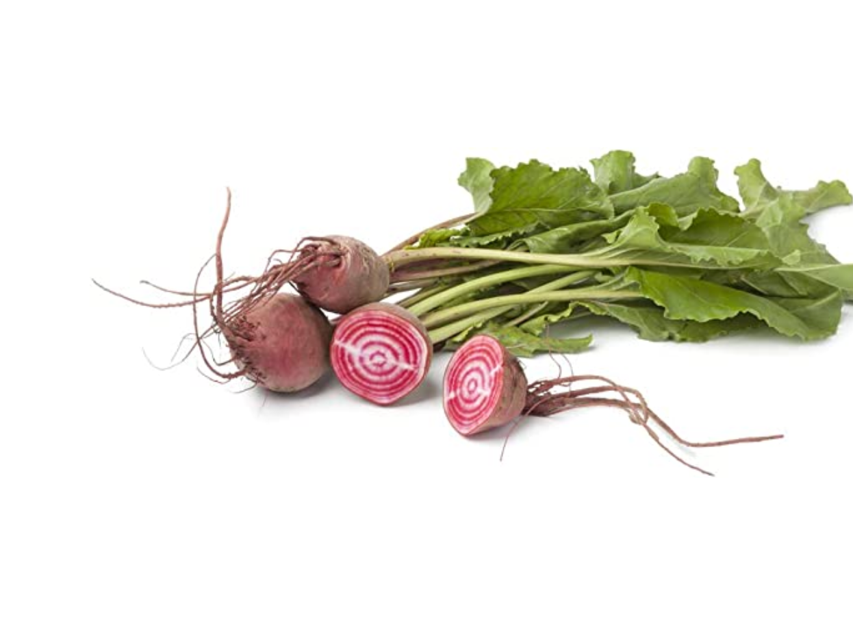 Beet 'Chioggia ' Organic Specialty