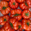 Miniaturbild: French Tomato MARMANDE Heirloom Organic