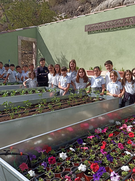 PEQUEĂOS AGRICULTORES