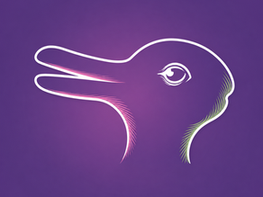 Duck-Rabbit Illusion