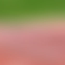 6 Barriers That Stop Leaders Giving Feedback (And How to Overcome Them)