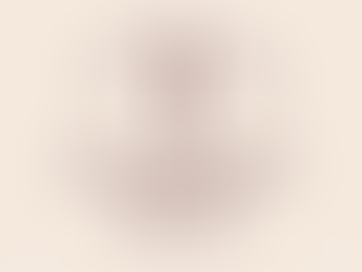 CEO Mindset Reset Seminar