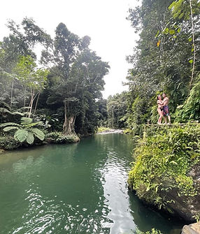 El Yunque Half Day Tour