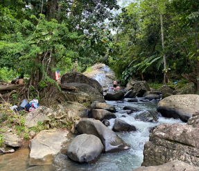El Yunque Rainforest Tour