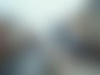 Why are Pigeons Hated?