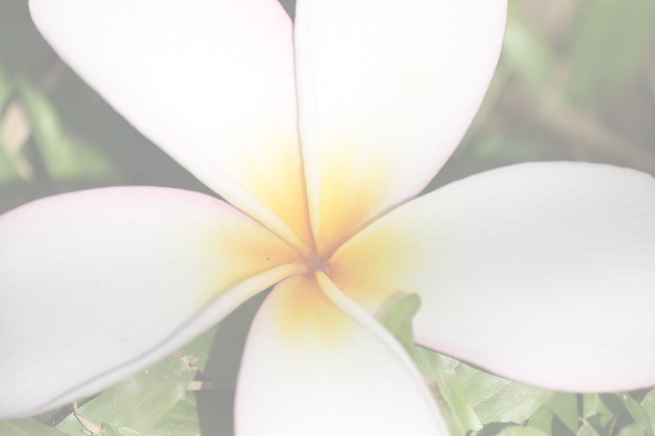 Lomi Lomi, New Client Only; Save 15%