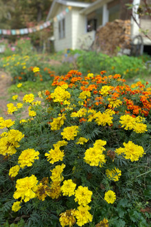 IMG_2720.JPEG