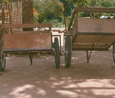 Image13.jpg