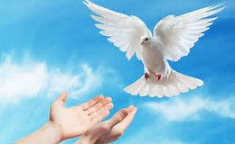 People Receive Holy Spirit