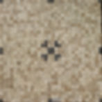 MS001