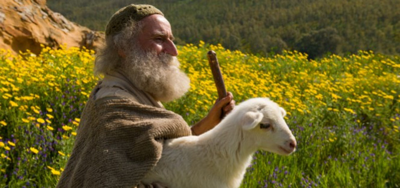 shepherd-overseer1.jpg