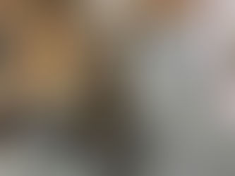 Experiência negativa com atendimento veterinário em Manaus: um alerta! Parte 2