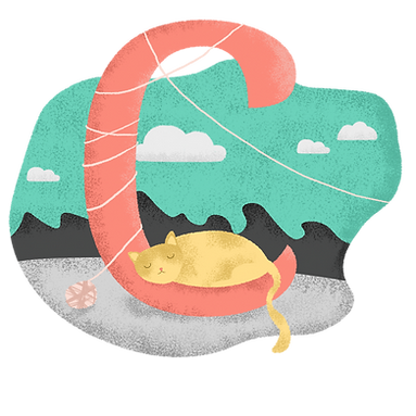 C for Cat
