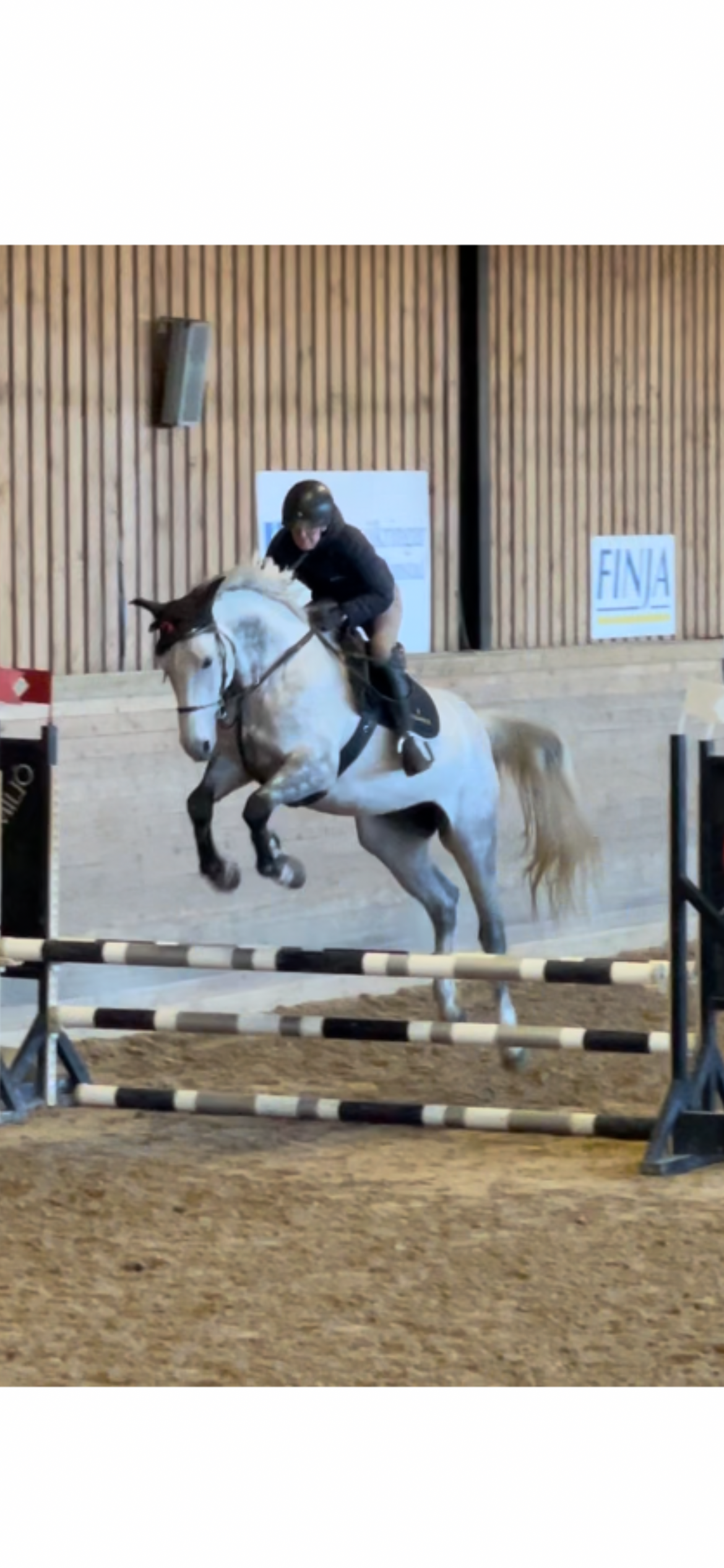 SCHansa - Cardento blod SÅLD