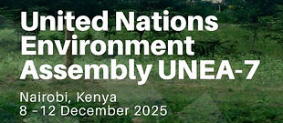 UNEA7-square-image-2.jpg