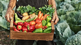 Cyber Green Market News