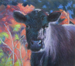 Cyndi Marble La Tulipe Noire