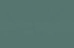 green background.jpg