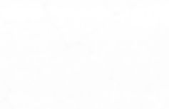 white background.jpg