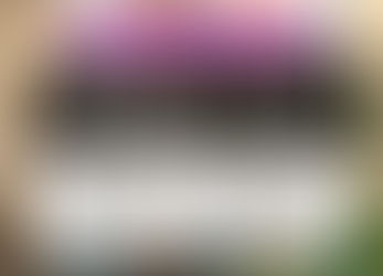 New Products - Bridge 2 Let and Term 2 Rent!