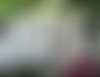 70% LTV on Commercial Property Bridging Loans with NO Valuation!