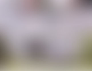 An Alternative Product: Lease to Buy!