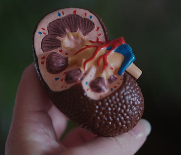 Mulher negra sorrindo e segurando um microfone, simbolizando representatividade, protagonismo e comunicação humanizada no con