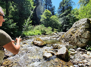 Stage Pêche Truite Confirmation Mouche Sèche.jpg