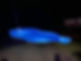 Messenger_creation_CD3B7F40-F9D3-4485-B849-1F42A070AEC2.jpeg