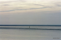 jerome perez - coudeville 5.jpg