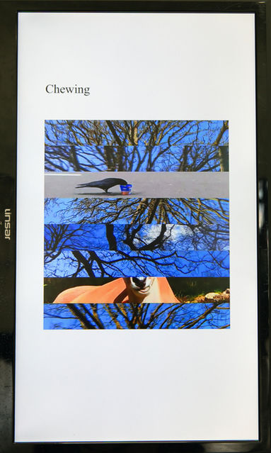 off-page 25_Four Poems by Dan Power_credit julie laing